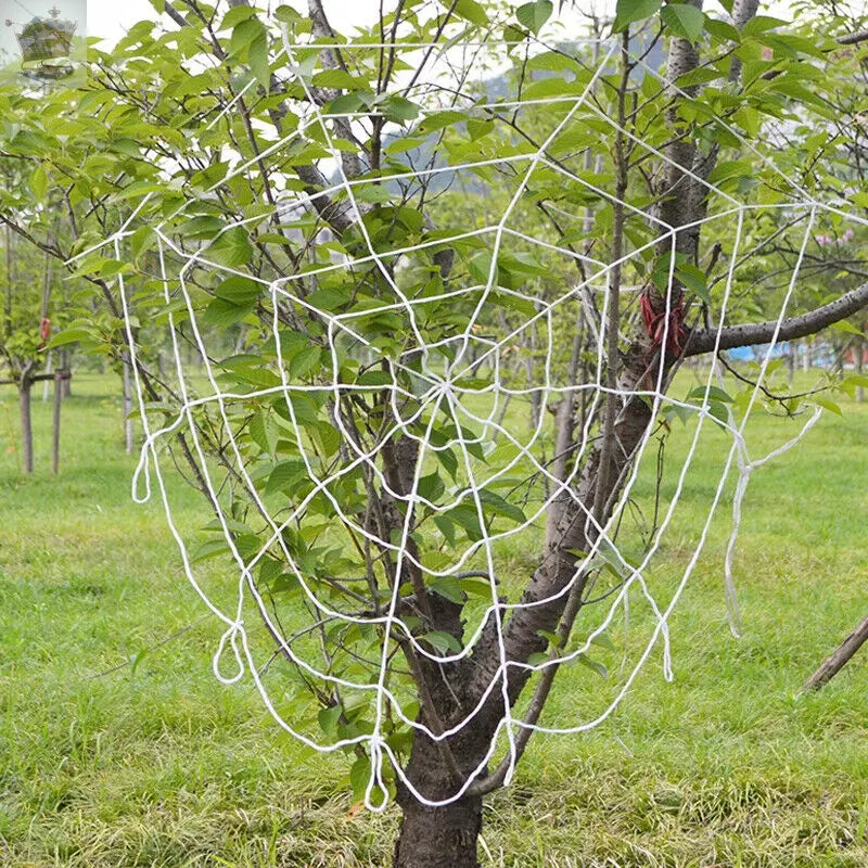 100 Led Halloween Decoration Giant Spider Web Lights Party Royalcart