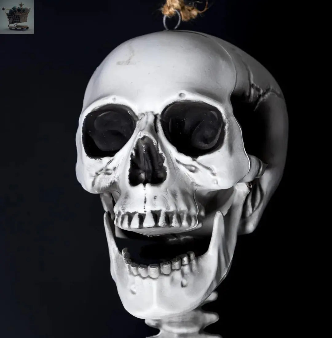 165CM Skeleton Full Size Poseable Human Halloween Party Prop Haunted House Decor - Royalcart