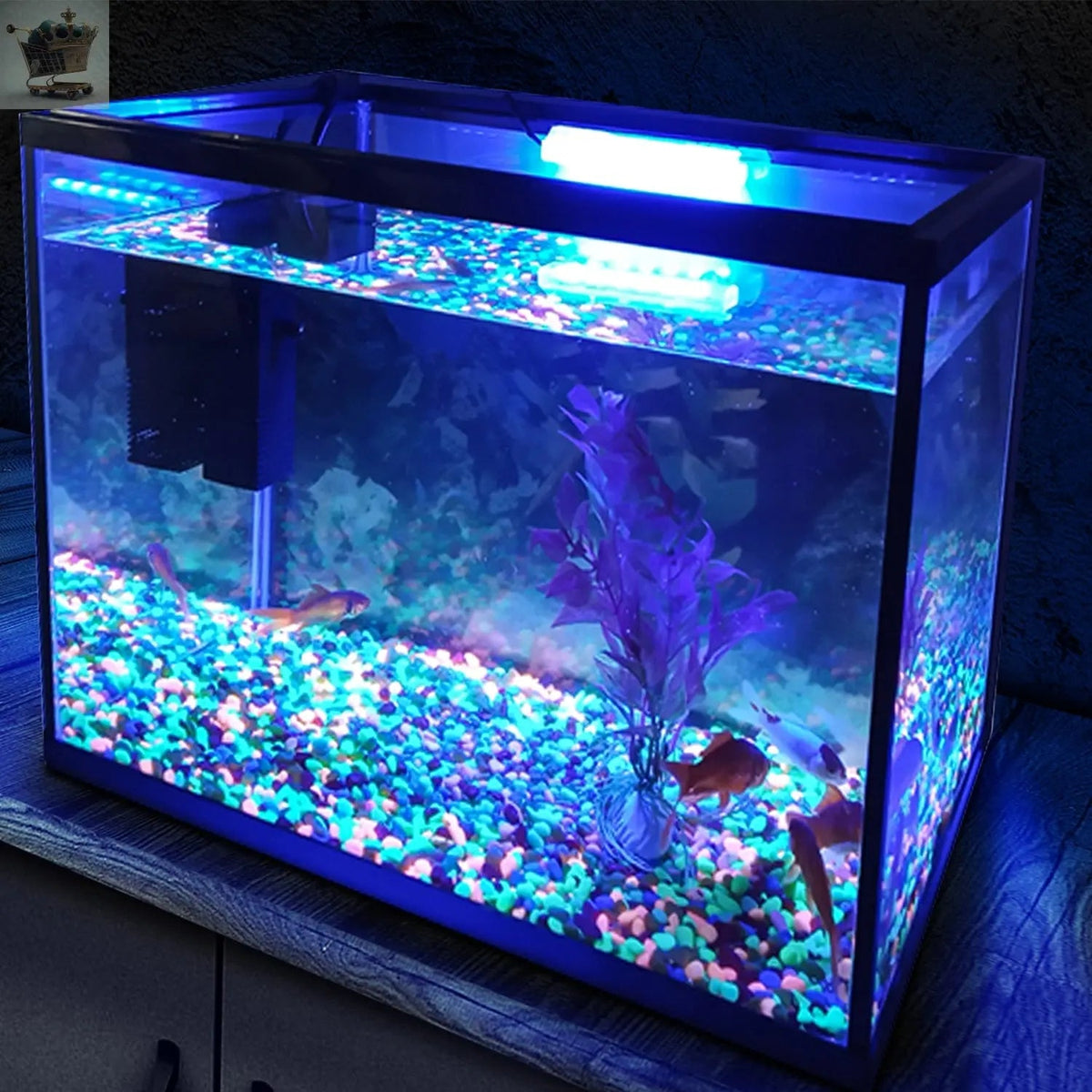 26L Glass Aquarium Fish Tank Starter Kit Set Air Filter Pump Net Stone LED Light Royalcart