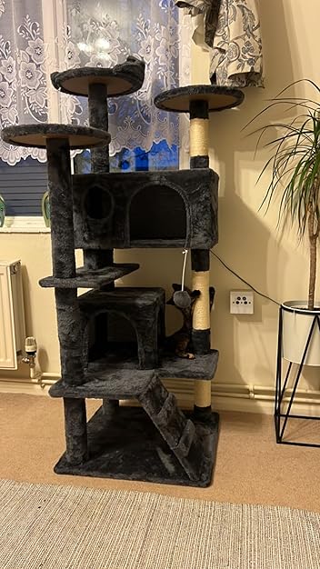 Cat Tree Cat Tower Cat Condo with Scratching Posts & Ladder for Cats Kittens