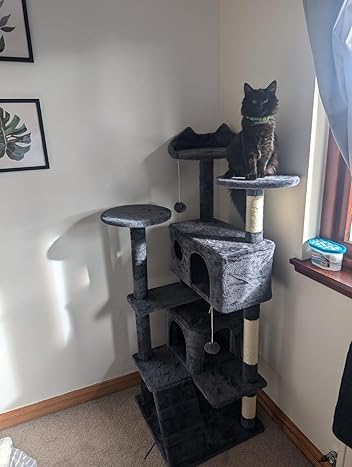Cat Tree Cat Tower Cat Condo with Scratching Posts & Ladder for Cats Kittens