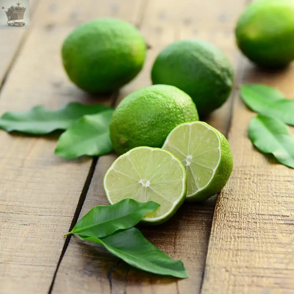 Potted Citrus Lime Tree Houseplant | Indoor Office Live Fruit Plant in 9cm Decorative Pot Royalcart