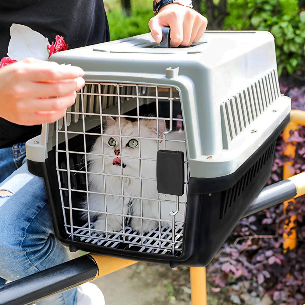 Extra Large Pet Carrier Cat Puppy Travel Cage Dog Carry Basket Transporter Box