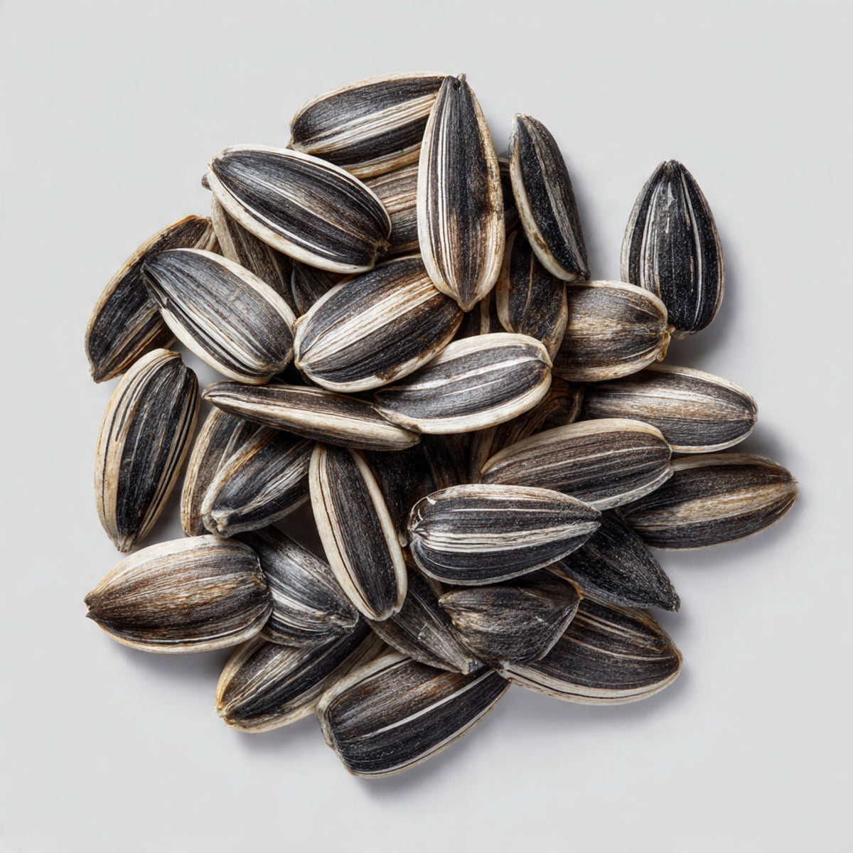 10 Mongolian Giant Sunflower Seeds free delivery
