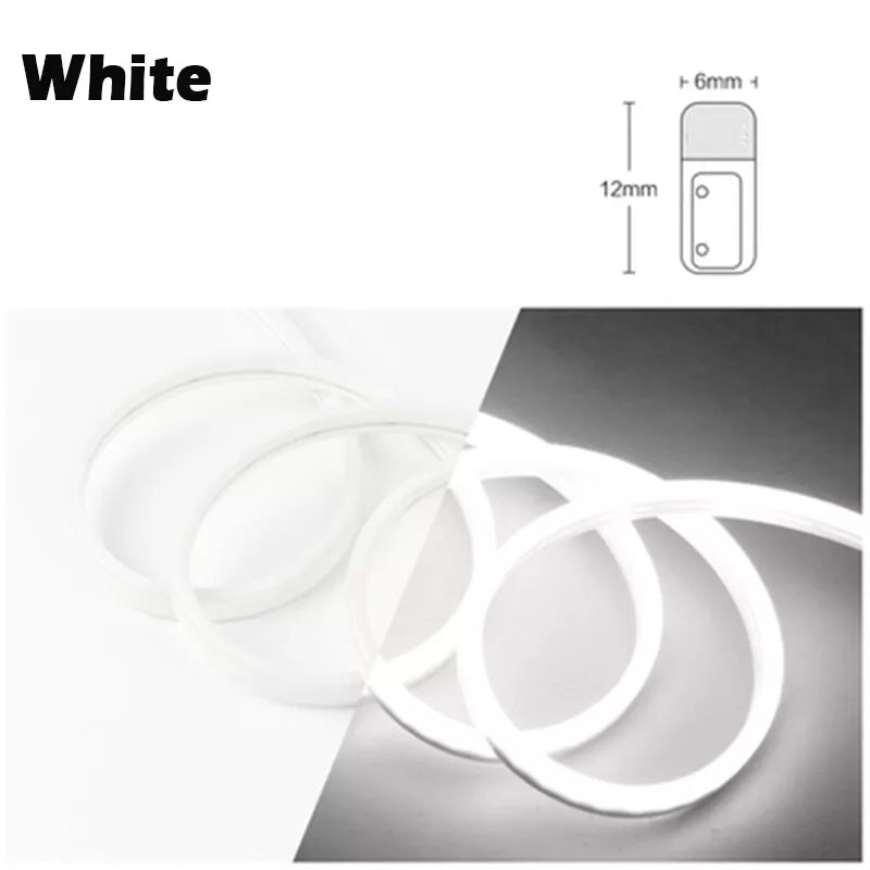 5M LED Strip Lights Flexible Neon Flex Rope Lights Waterproof Outdoor Lighting 12V Royalcart