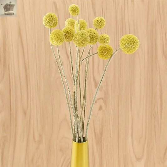 10Pcs Yellow Dried Flowers Natural Craspedia Sticks Living Room Floral Decor UK Royalcart