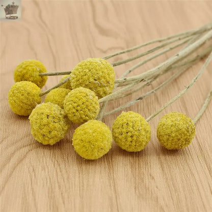 10Pcs Yellow Dried Flowers Natural Craspedia Sticks Living Room Floral Decor UK Royalcart