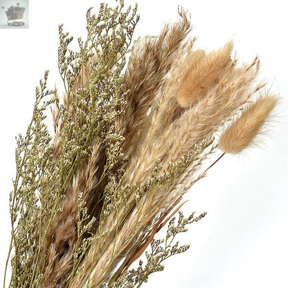 15Pc Natural Dried Pampas Grass Reed Flower Bunch DIY Flower Home Decor Royalcart