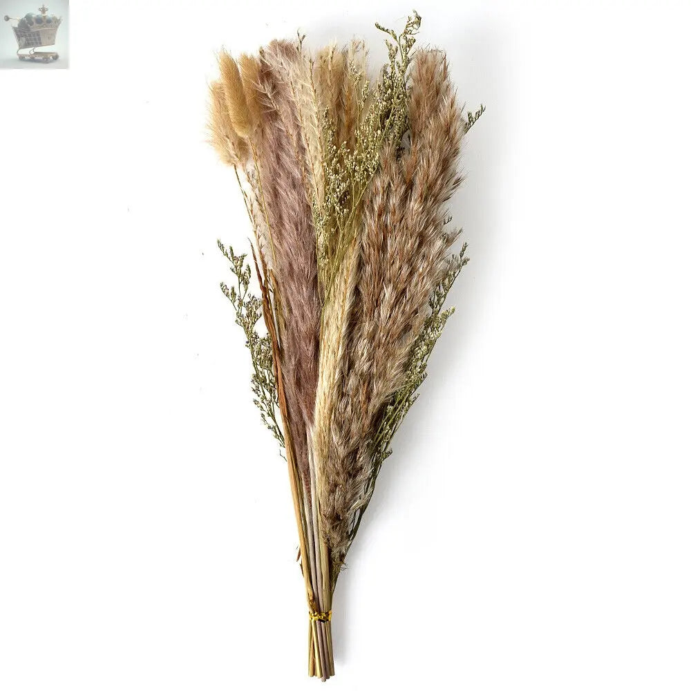 15Pc Natural Dried Pampas Grass Reed Flower Bunch DIY Flower Home Decor Royalcart