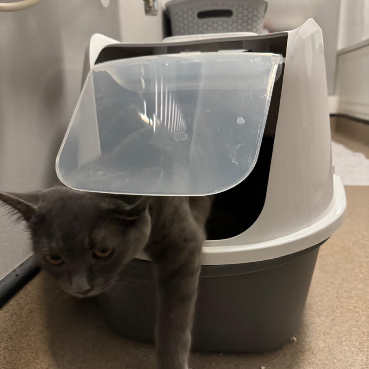 MODERN HOODED CAT LITTER TRAY