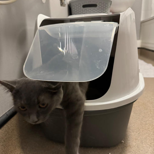 MODERN HOODED CAT LITTER TRAY