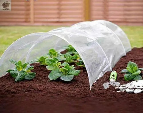 3x POLY TUNNEL CLOCHE MINI GREENHOUSE Royalcart