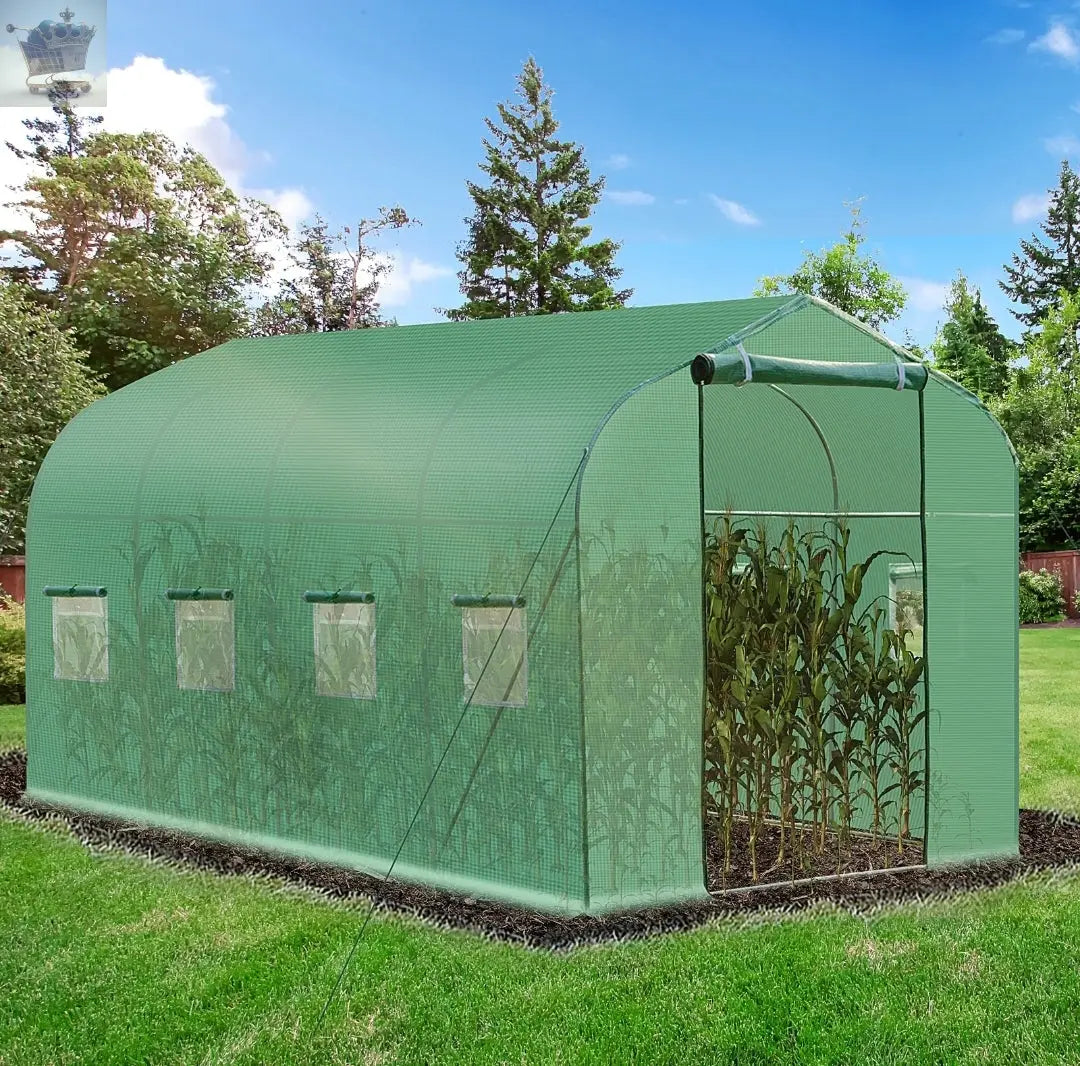 4 x 2 M Walk in Polytunnel Greenhouse Royalcart