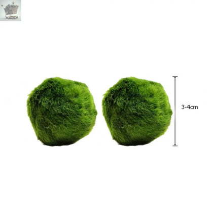 6 Moss Balls live aquarium plants Marimo Ball shrimps fish tank nano Royalcart