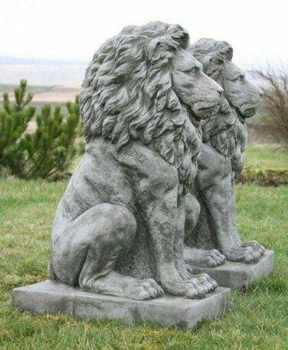 Pair Large Proud Lions Heavy Stone Cast Garden Statues by DGS UK 330KGS Royalcart