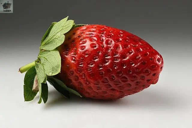 80 x Strawberry Cambridge Favourite Bare Roots - Grow Your Own Strawberries - Royalcart