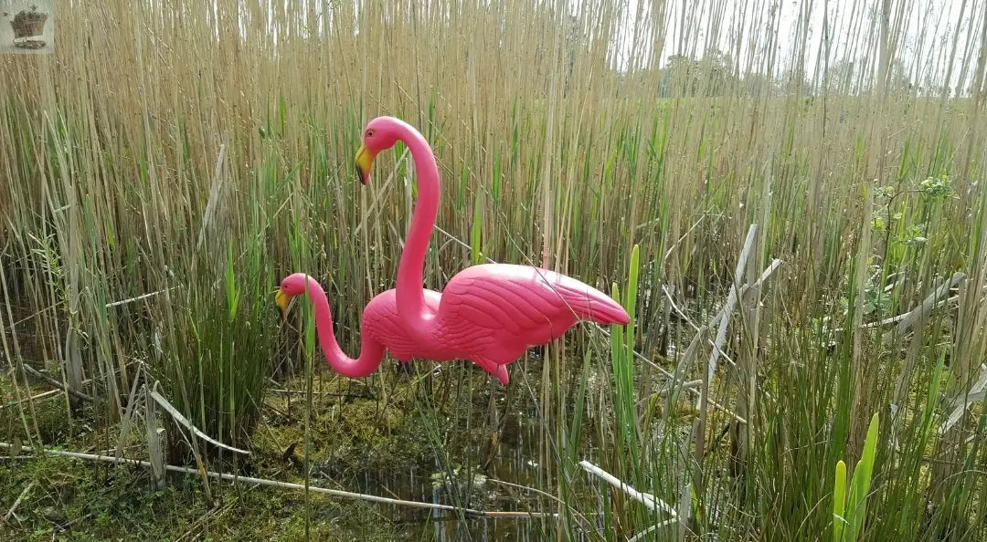 Garden Flamingo Set of 2 Pink Yard Lawn Statue Party Ornament Royalcart