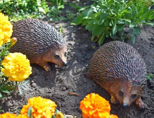 Hedgehog Hoglet Ornament Garden Sculpture Wildlife Animal Royalcart