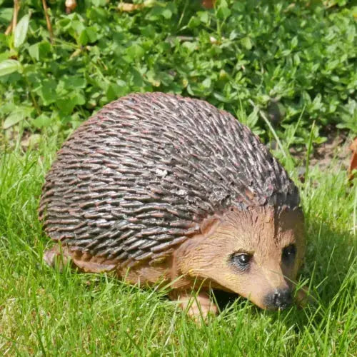 Hedgehog Hoglet Ornament Garden Sculpture Wildlife Animal Royalcart