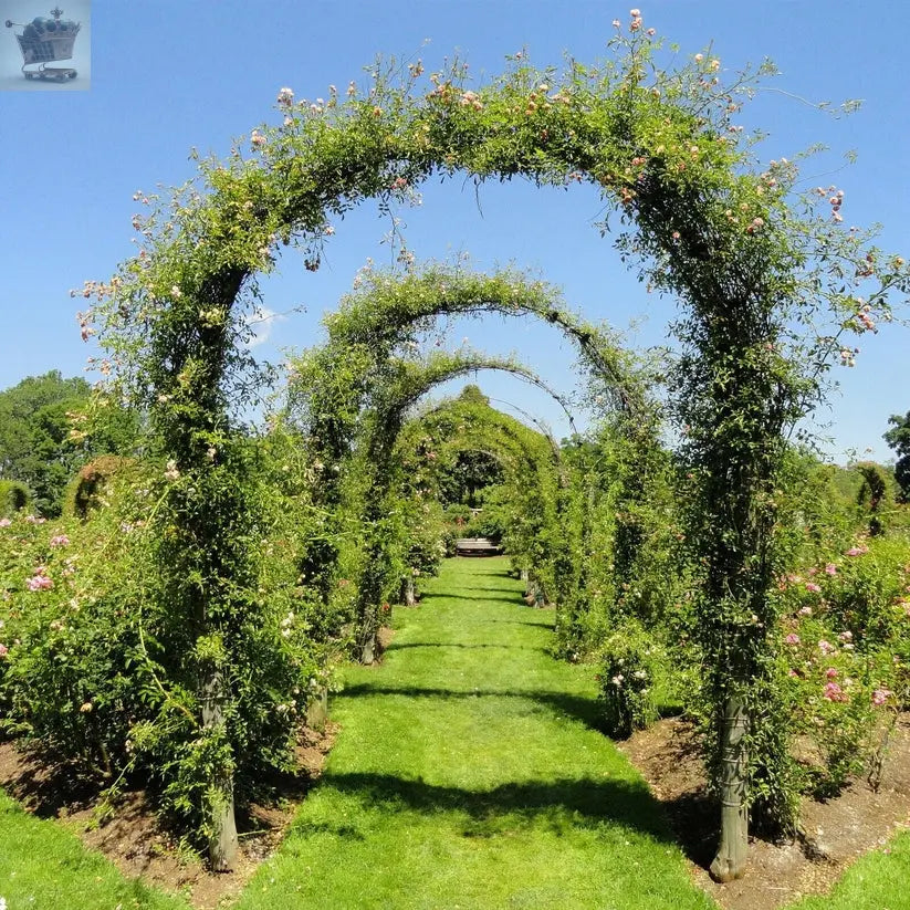 LARGE 2.4M HEAVY DUTY METAL GARDEN ARCH STRONG ROSE CLIMBING PLANTS SUPPORT Royalcart