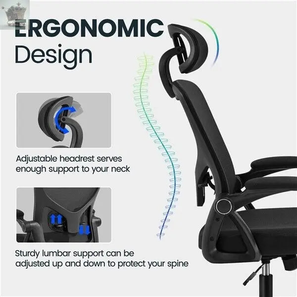 Luxury Ergonomic Heavy Duty Office Chair with Lumbar Support Royalcart