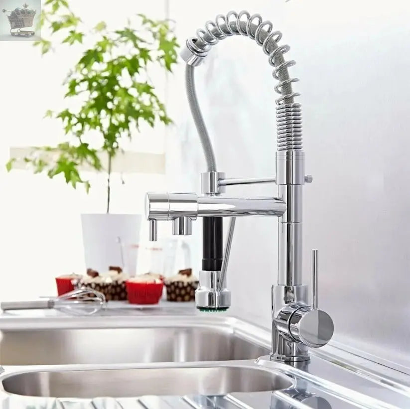 Modern Kitchen Sink Pull Out
Mixer Taps Dual Spout Spray Royalcart