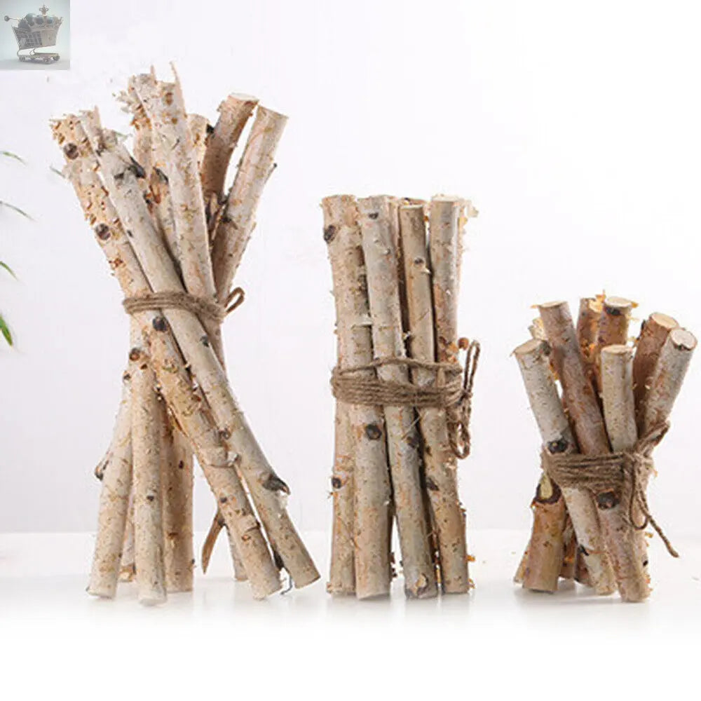 Natural Dried Fine Branch Birch Stick DIY Home Garden Floral Decor Ornaments Royalcart