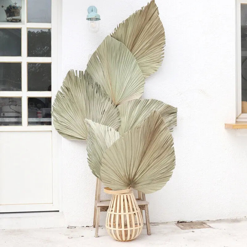 Natural Dried Palm 6 Leaf Flowers Palm Fan Plant DIY Wedding Party Home Decor UK Royalcart