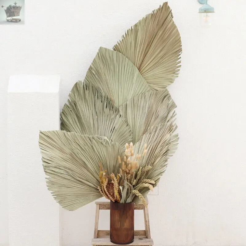 Natural Dried Palm 6 Leaf Flowers Palm Fan Plant DIY Wedding Party Home Decor UK Royalcart