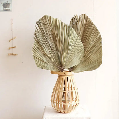 Natural Dried Palm 6 Leaf Flowers Palm Fan Plant DIY Wedding Party Home Decor UK Royalcart