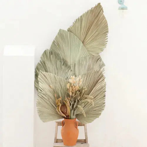 Natural Dried Palm 6 Leaf Flowers Palm Fan Plant DIY Wedding Party Home Decor UK Royalcart