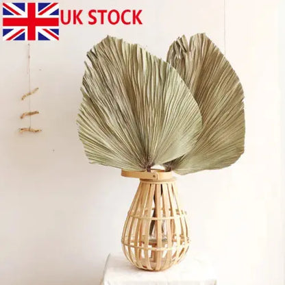 Natural Dried Palm 6 Leaf Flowers Palm Fan Plant DIY Wedding Party Home Decor UK Royalcart