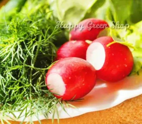 VEGETABLE SEEDS RADISH RAINBOW MIX Royalcart