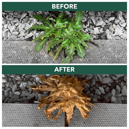 Total Glyphosate Weedkiller 2 x 2.5L Weedblast Rootkill, with Long hose trigger