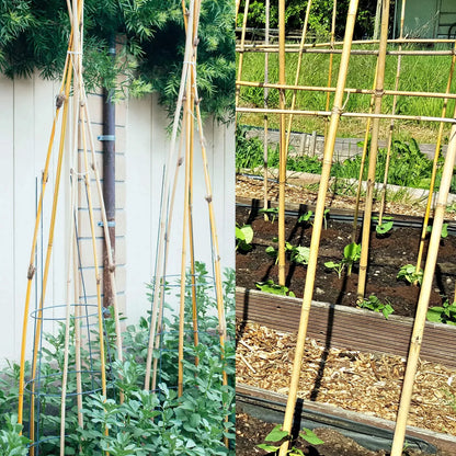 8ft Strong Heavy Duty Professional Bamboo Plant Support Garden Canes