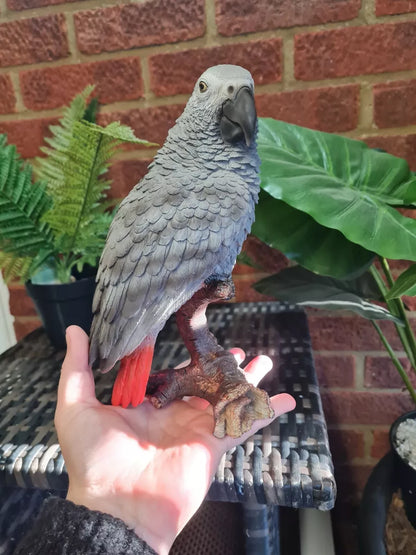 Vivid Arts AFRICAN GREY PARROT. Superb Home or Garden Ornament. Very Realistic