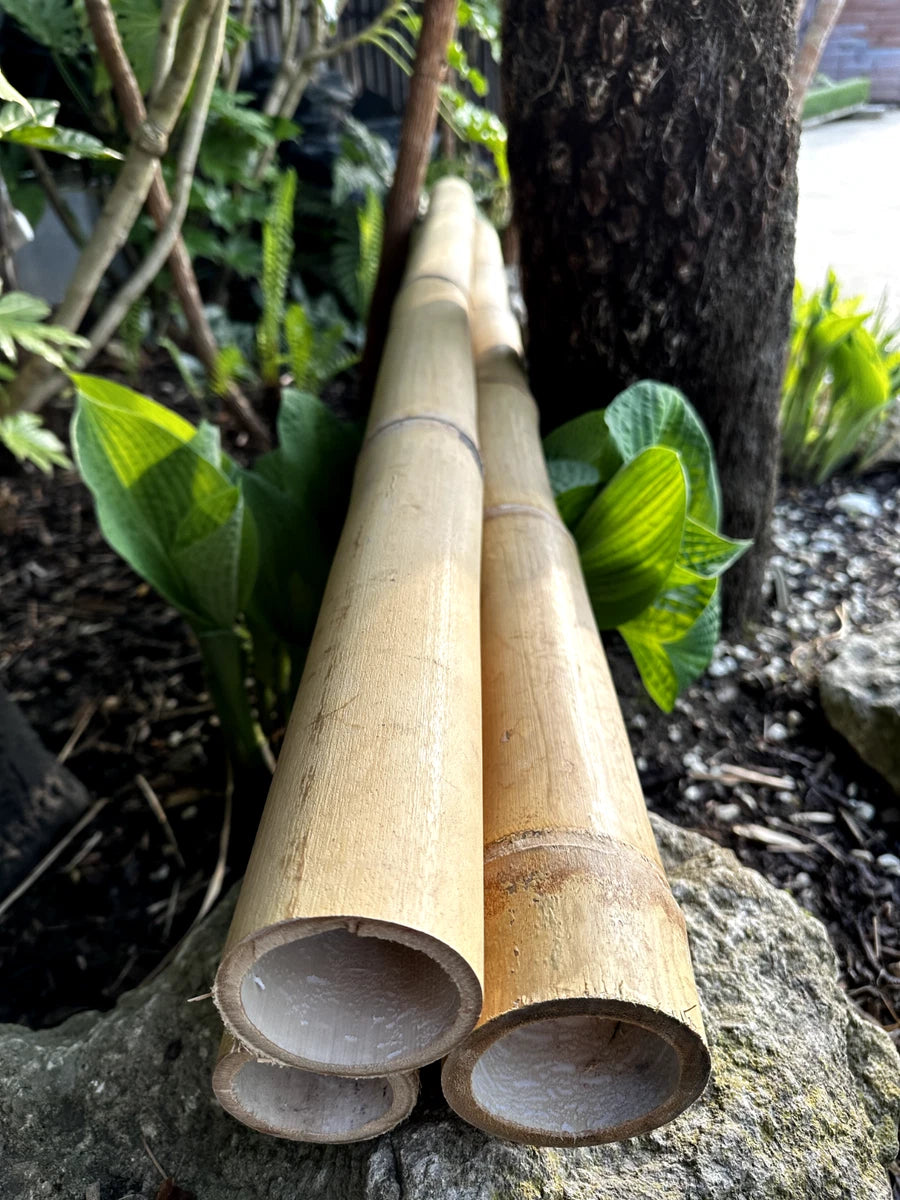 Apus Natural Bamboo Pole 4-6 cm Diameter Short Lengths - Home Garden Decoration