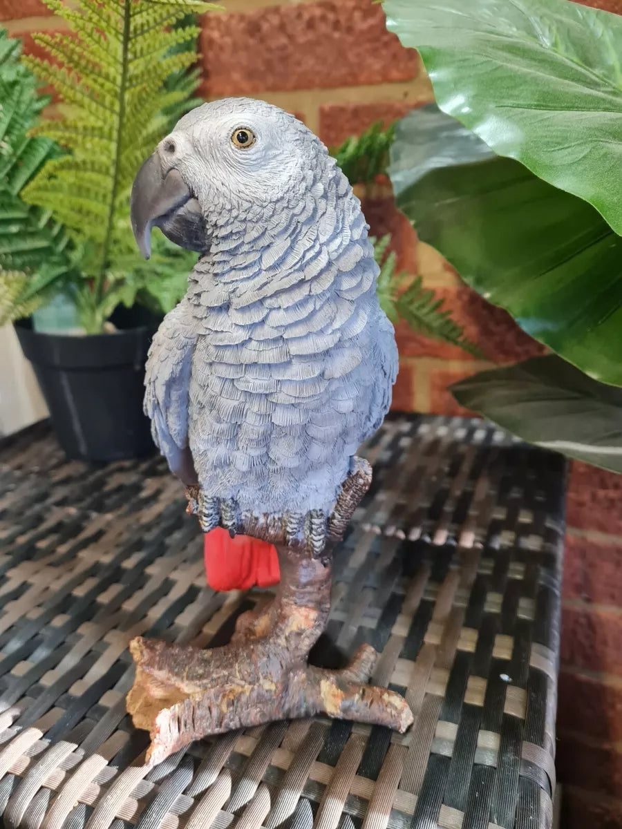 Vivid Arts AFRICAN GREY PARROT. Superb Home or Garden Ornament. Very Realistic