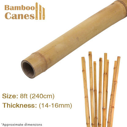 8ft Strong Heavy Duty Professional Bamboo Plant Support Garden Canes