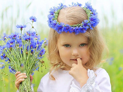 200 x Cornflower Blue Ball seeds.