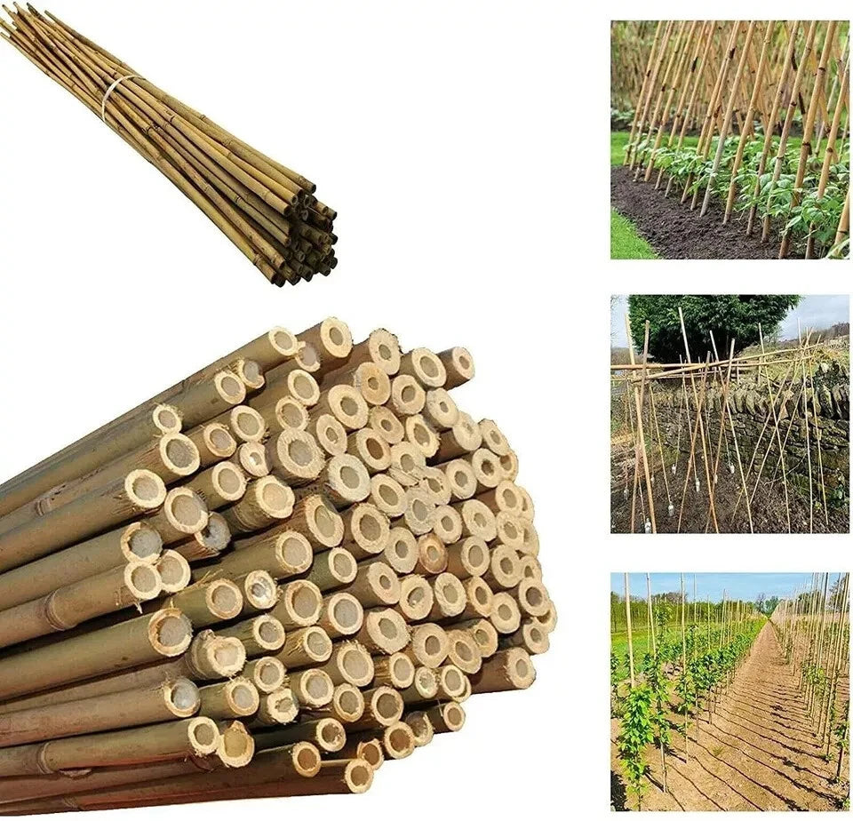 4ft x 50 Extra Large Thick Bamboo Canes Plants Supporting Pole Sticks Garden