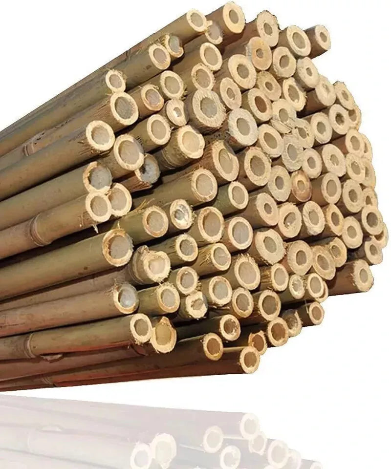 4ft x 50 Extra Large Thick Bamboo Canes Plants Supporting Pole Sticks Garden