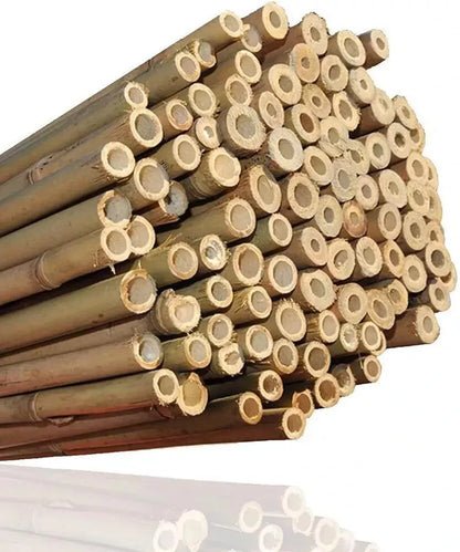 4ft x 50 Extra Large Thick Bamboo Canes Plants Supporting Pole Sticks Garden