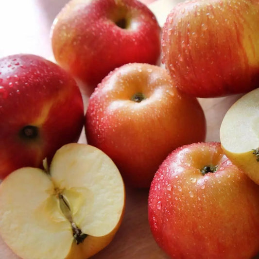 Braeburn Apple Garden Fruit Plant Hardy Tree Easy to Grow Malus 9cm Pot