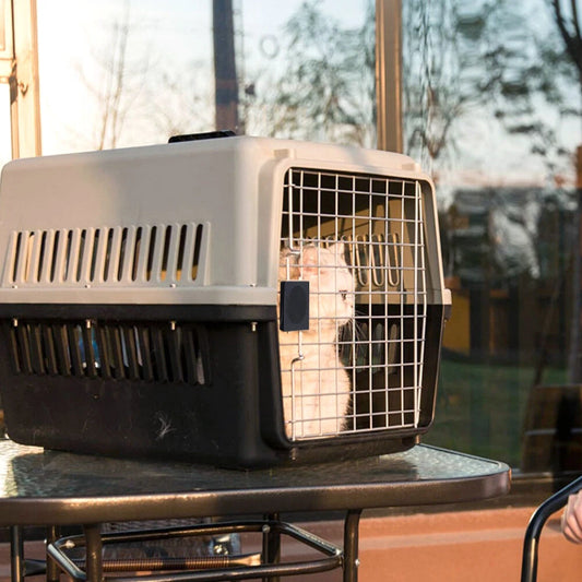 Extra Large Pet Carrier Cat Puppy Travel Cage Dog Carry Basket Transporter Box