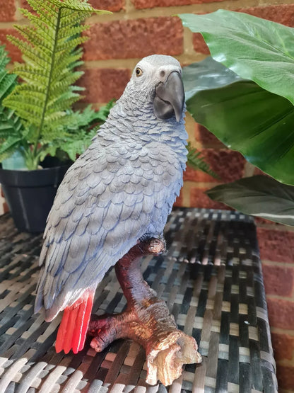 Vivid Arts AFRICAN GREY PARROT. Superb Home or Garden Ornament. Very Realistic