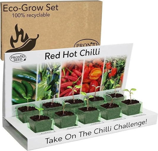 Chilli Plant Kit with 5 Seeds Varieties - Indoor Growing Set with Sustainable Pa