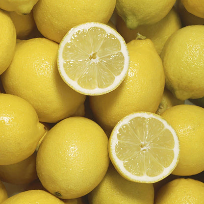 Citrus Lemon Tree, Approximately 80cm Tall in 4 Litre Pot, Citrus Fruit Tree
