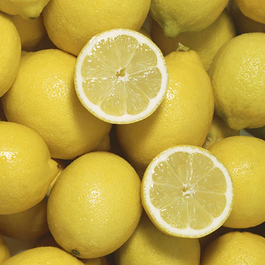 Citrus Lemon Tree, Approximately 80cm Tall in 4 Litre Pot, Citrus Fruit Tree