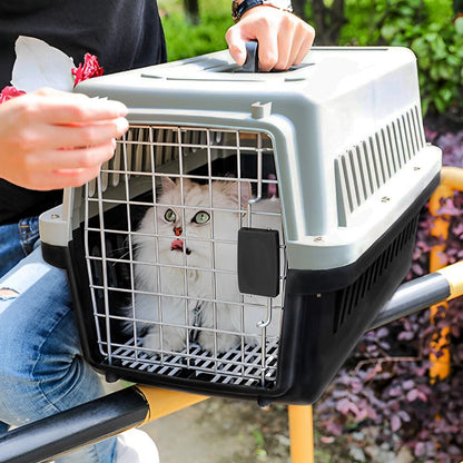 Extra Large Pet Carrier Cat Puppy Travel Cage Dog Carry Basket Transporter Box
